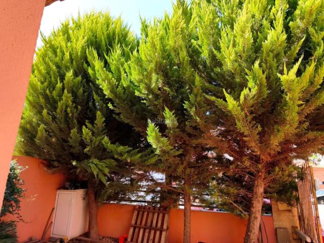 Casa pareada en venta en Mazarrón, Mazarrón Casco Urbano. FANTASTICO PAREADO EN UNA DE LAS MEJORES ZONAS DE MAZARRON. Casas pareadas.