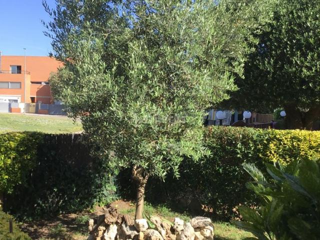 Casa pareada en venta en Santa Coloma de Farners. EN VENDA CASA APARELLADA! 4 HABITACIONS 3 BANYS, GRAN PISCINA COMUNITARIA. Casas pareadas Santa Coloma de.