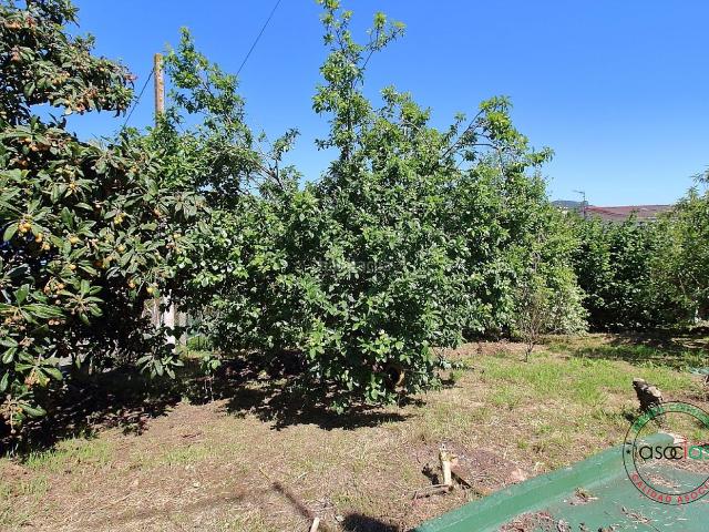 Casa pareada en venta en Pravia. Sueñas con despertar rodeado de verde y disfrutar de una total privacidad? Esta encantadora propiedad en el pintoresco pueblo de A. Casas pareadas.