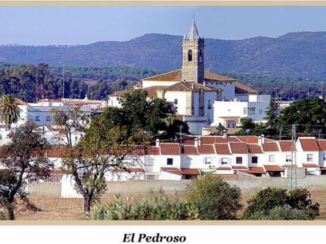 Casa Pedroso Sevilla 102752395