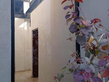 CASA PIRUL