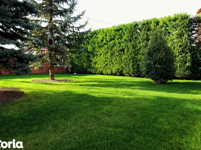 Casa premium zona bucium la strada principala