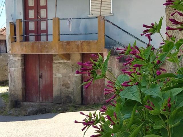 Casa rústica, Couto de Baixo e Couto de Cima