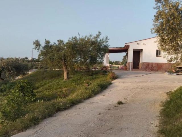 Casa rústica, Coin