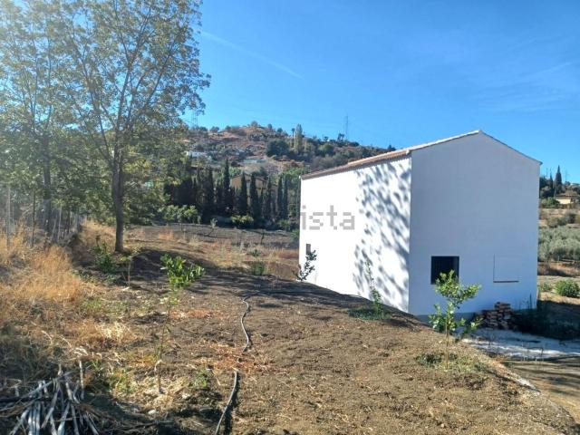 Casa rústica, Coin