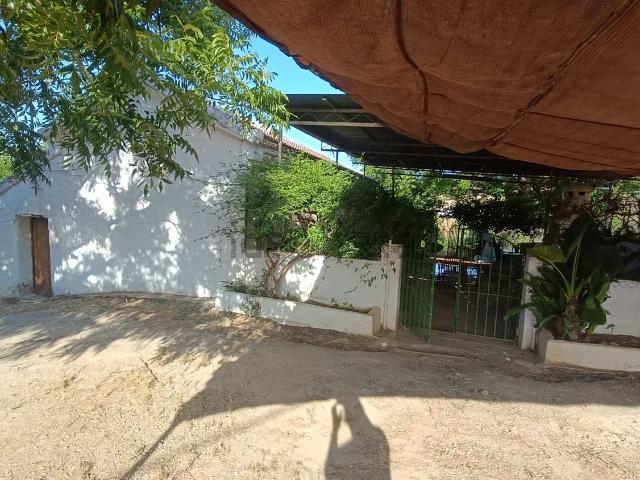 Casa rústica, Coin