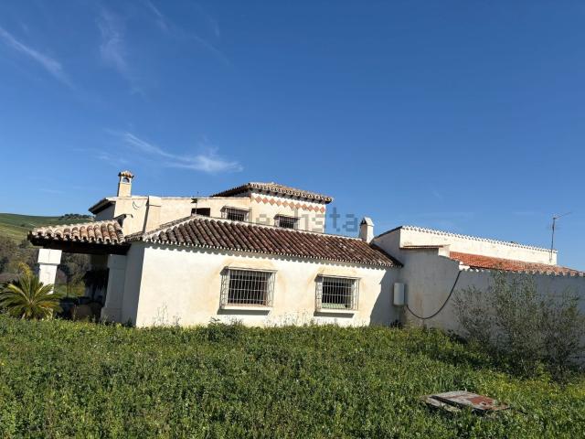 Casa rústica, Coin