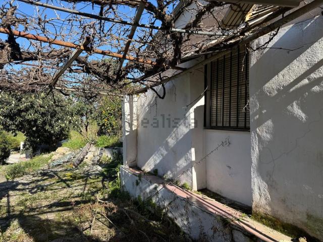 Casa rústica, Coin