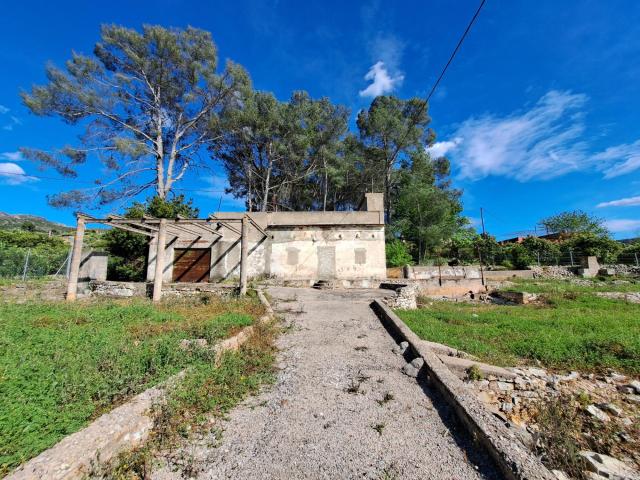 CASA RUSTICA CON TERRENO