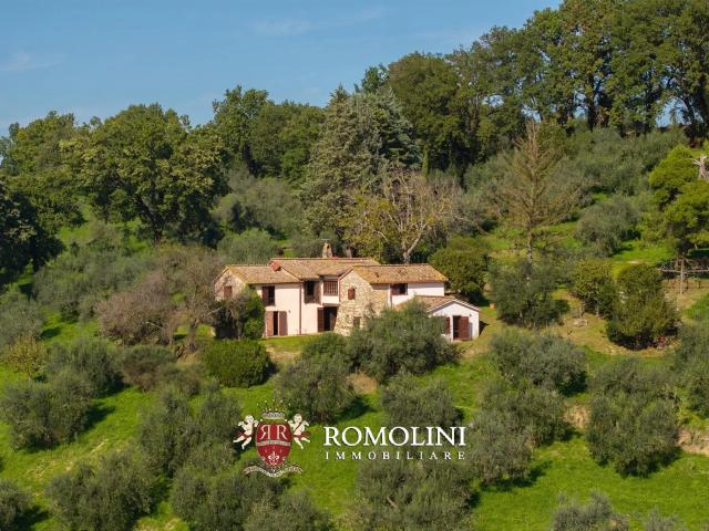 Casa Rustica Con Torre Del Seicento E Oliveto In Vendita Ad. 266m² Amelia