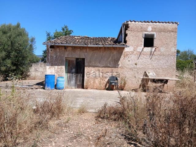 Casa rústica, Consell