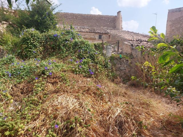 Casa rústica, Costitx