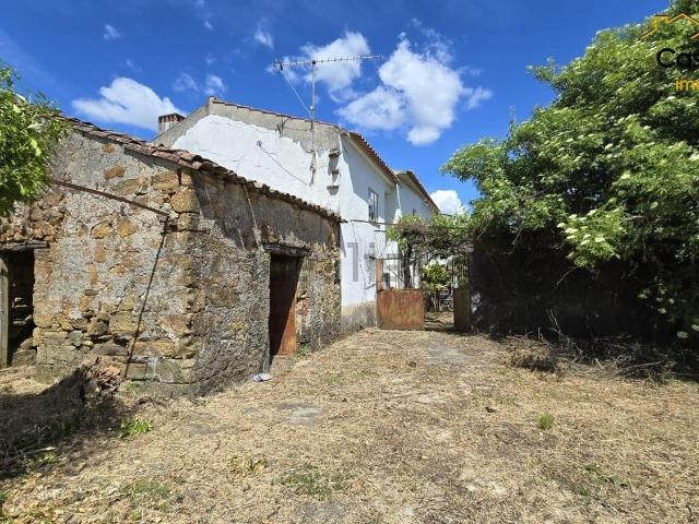 Casa rústica, Cabeçudo