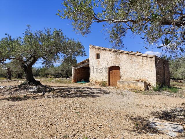 Casa rústica, Camarles