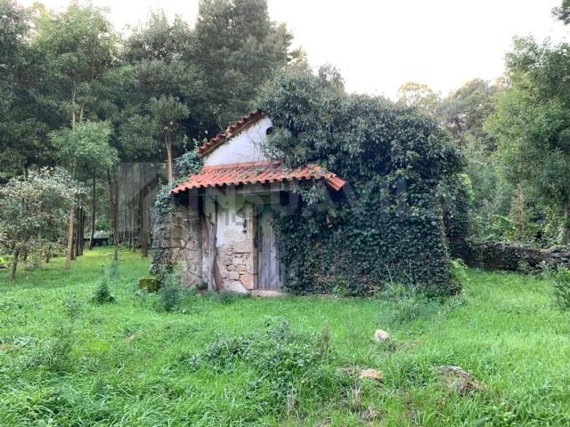 Casa rústica, Caminha e Vilarelho