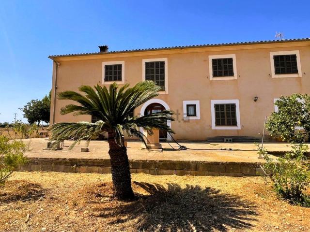Casa rústica, Campos