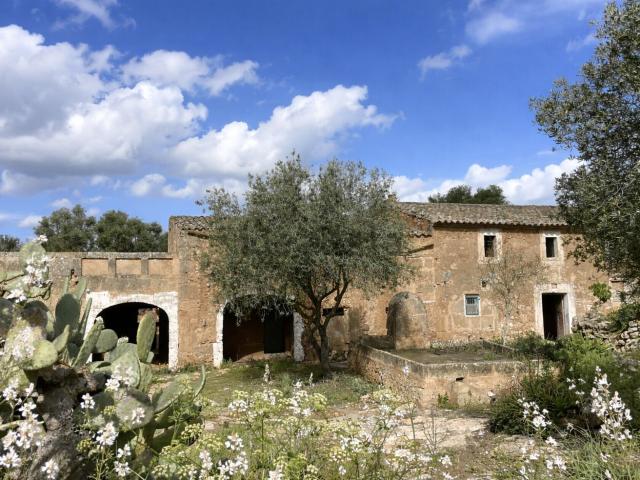Casa rústica, Campos