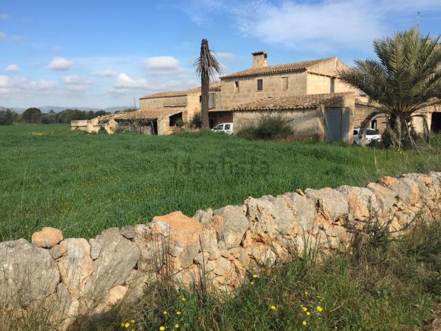 Casa rústica, Campos