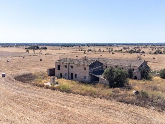 Casa rústica, Campos