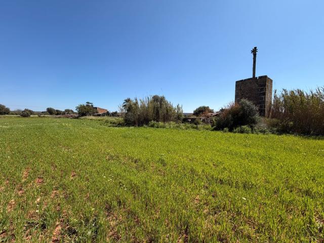 Casa rústica, Campos
