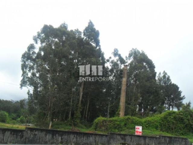 Casa rústica, Campos