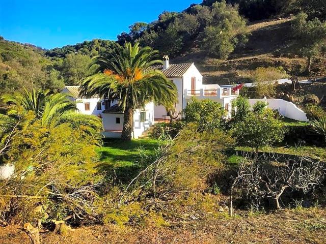Casa rústica, Casares
