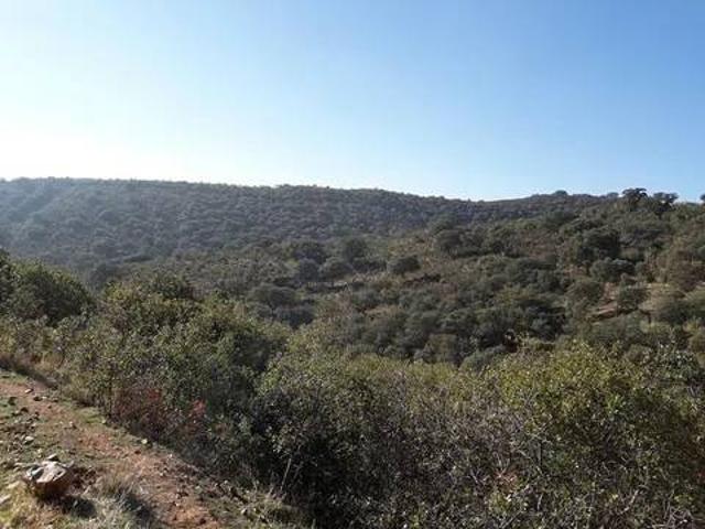 Casa rústica / Caserío en Venta en Talavera de la Reina