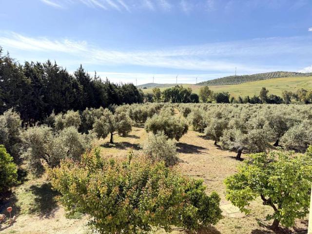Casa rústica / Caserío en Venta en Teba