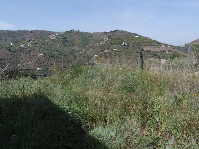 Casa rústica / Caserío en Venta en Torrox