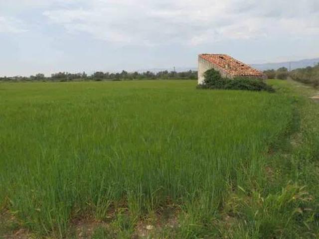Casa rústica / Caserío en Venta en Ulldecona
