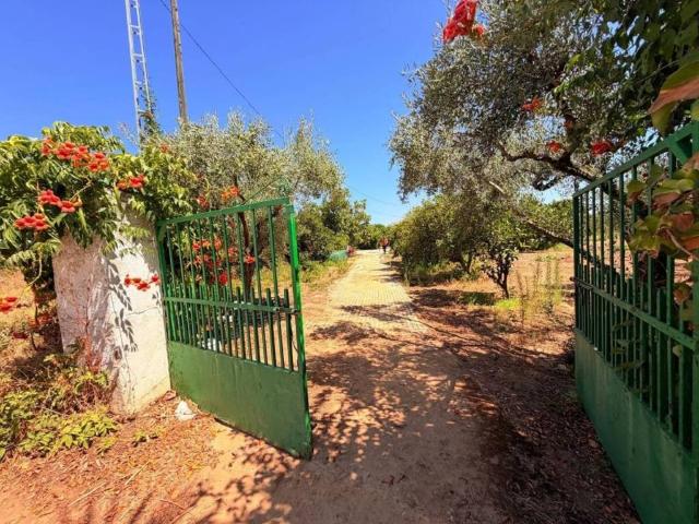 Casa rústica / Caserío en Venta en Valverde de Mérida