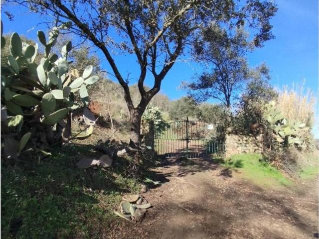 Casa rústica / Caserío en Venta en Valverde de Mérida