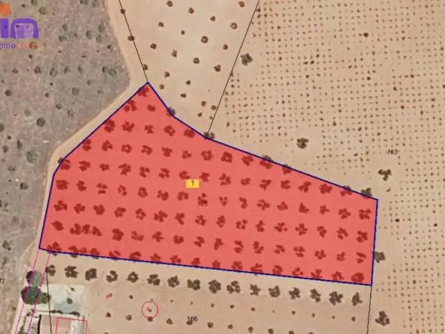 Casa rústica / Caserío en Venta en Valdepeñas
