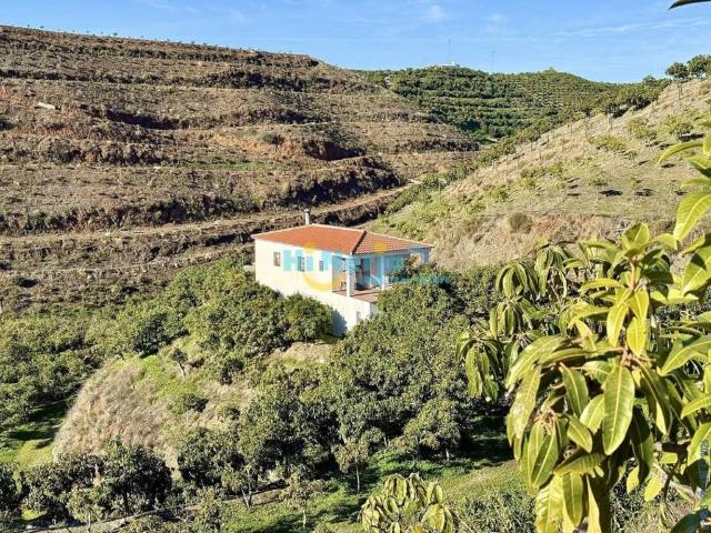 Casa rústica / Caserío en Venta en Vélez Málaga