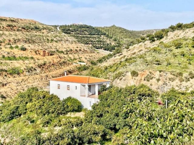 Casa rústica / Caserío en Venta en Vélez Málaga