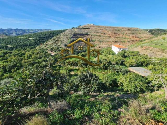 Casa rústica / Caserío en Venta en Vélez Málaga