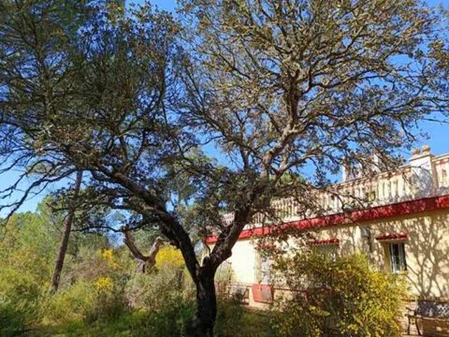 Casa rústica / Caserío en Venta en Villablanca