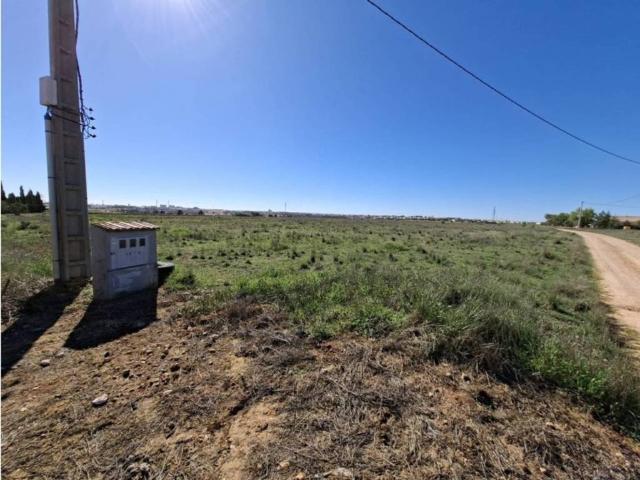 Casa rústica / Caserío en Venta en Villarrobledo