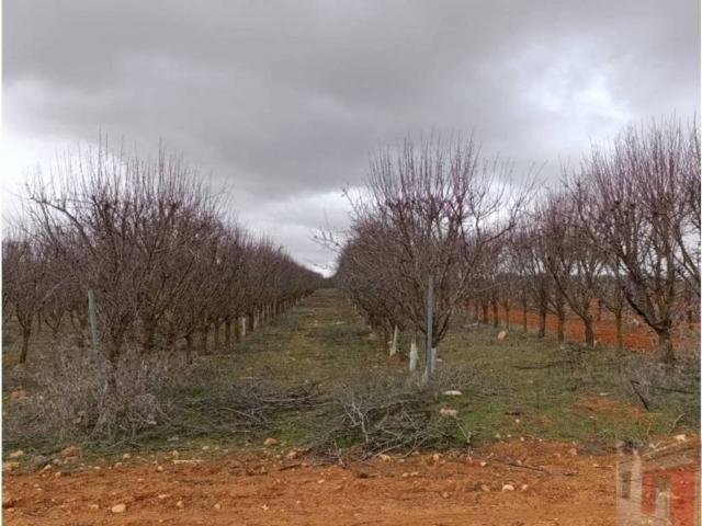 Casa rústica / Caserío en Venta en Villarrobledo