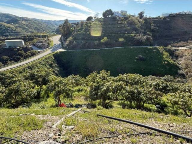 Casa rústica / Caserío en Venta en Almáchar