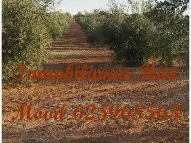 Casa rústica / Caserío en Venta en Almendralejo