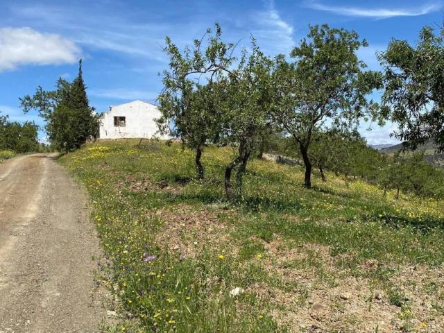 Casa rústica / Caserío en Venta en Almogía