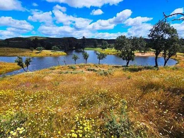 Casa rústica / Caserío en Venta en Almonaster La Real