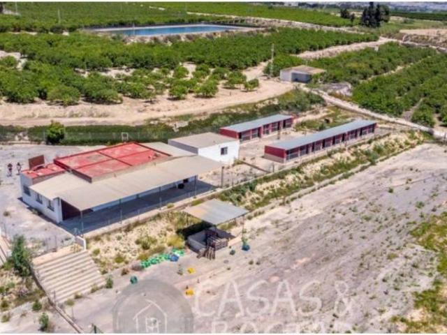 Casa rústica / Caserío en Venta en Almoradí