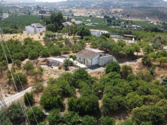 Casa rústica / Caserío en Venta en Álora