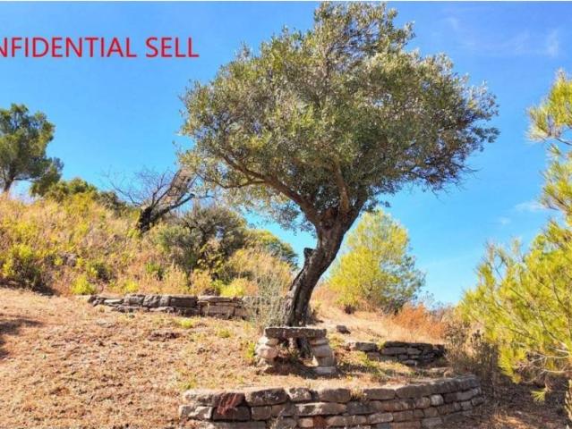Casa rústica / Caserío en Venta en Álora