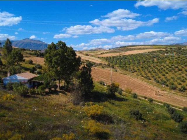 Casa rústica / Caserío en Venta en Álora