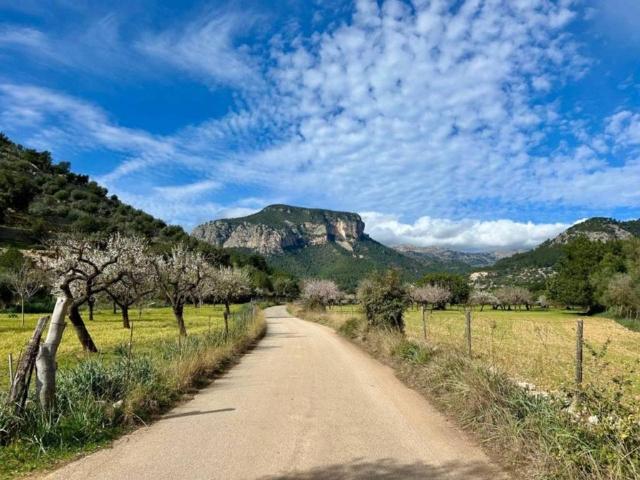 Casa rústica / Caserío en Venta en Alaró