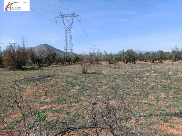 Casa rústica / Caserío en Venta en Albolote