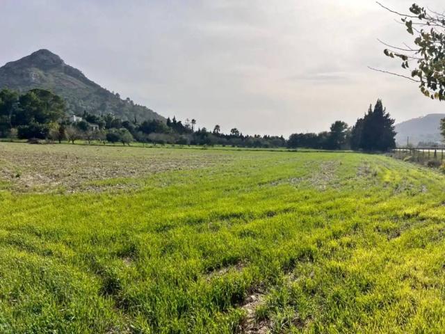 Casa rústica / Caserío en Venta en Alcúdia